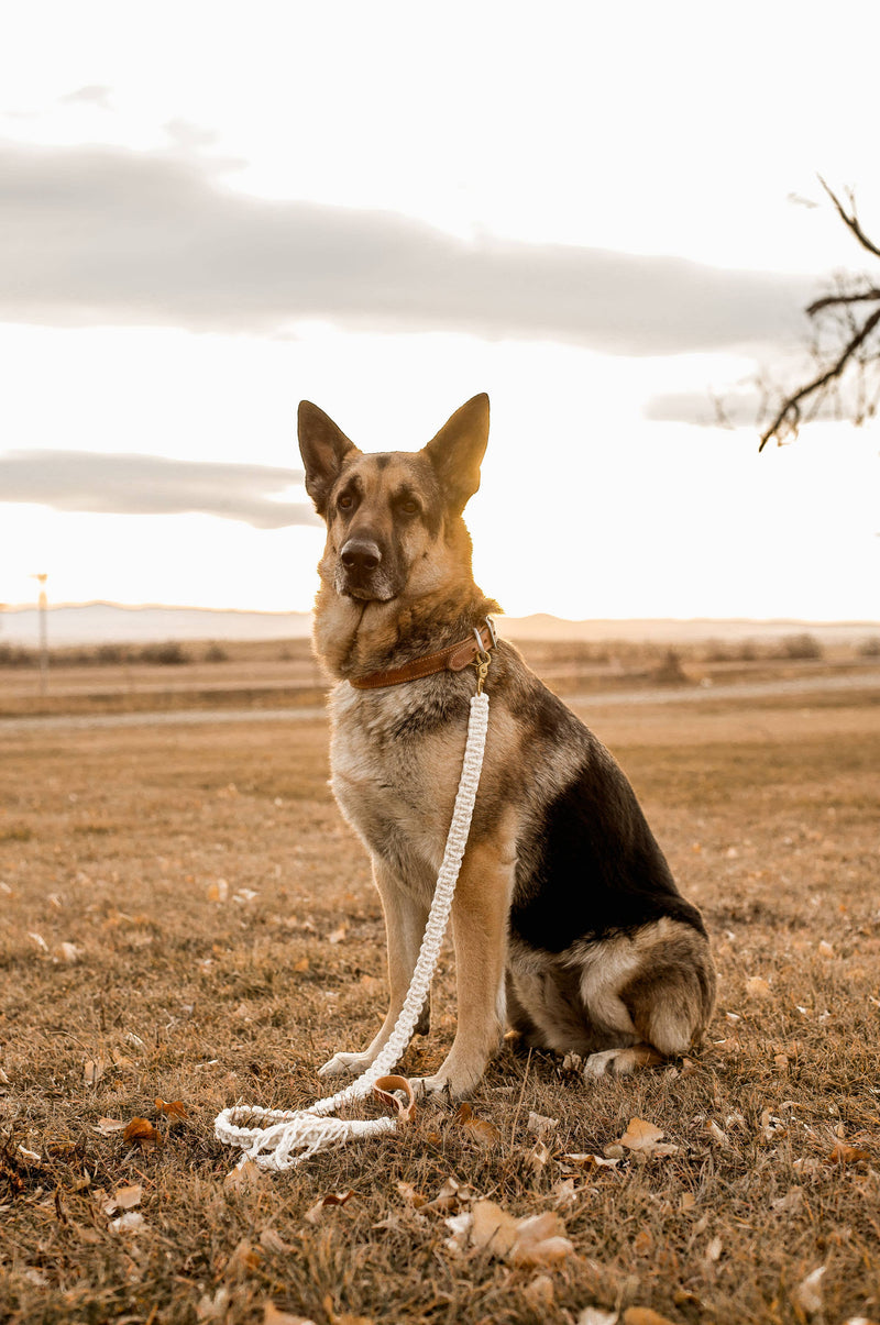 MACRAME DOG LEASH WITH LEATHER HANDLE - NATURAL ROPE