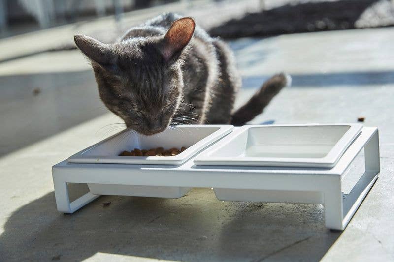 TOWER PET FOOD BOWL WITH STAND