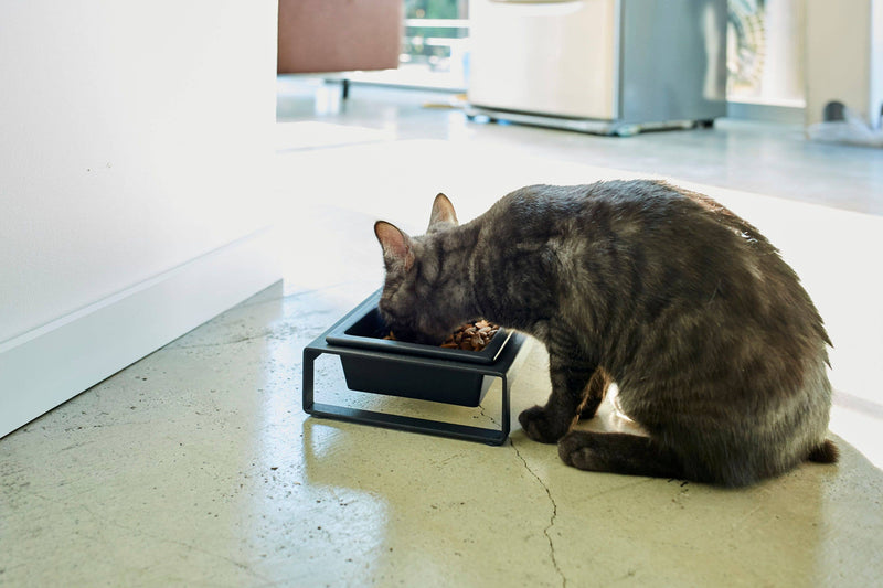 TOWER PET FOOD BOWL WITH STAND