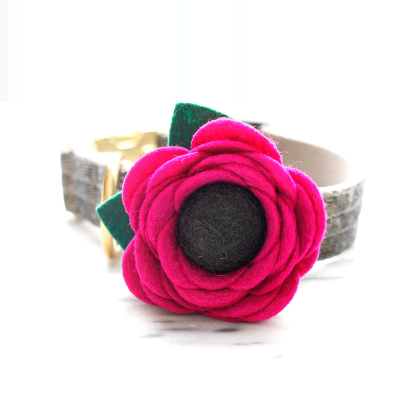 Poppy Dog Collar Flower