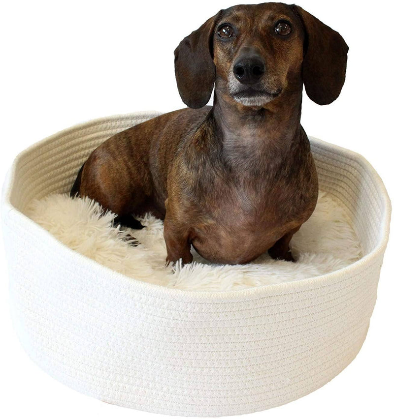 MIDLEE ROUND ROPE CAT OR SMALL DOG BED WITH PILLOW INSERT