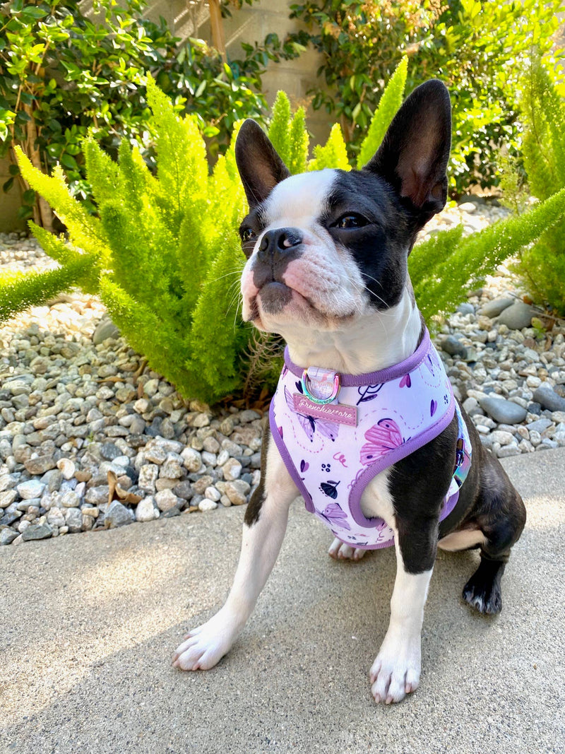 DOG PET REVERSIBLE HEALTH HARNESS - MAGICAL BUTTERFLY