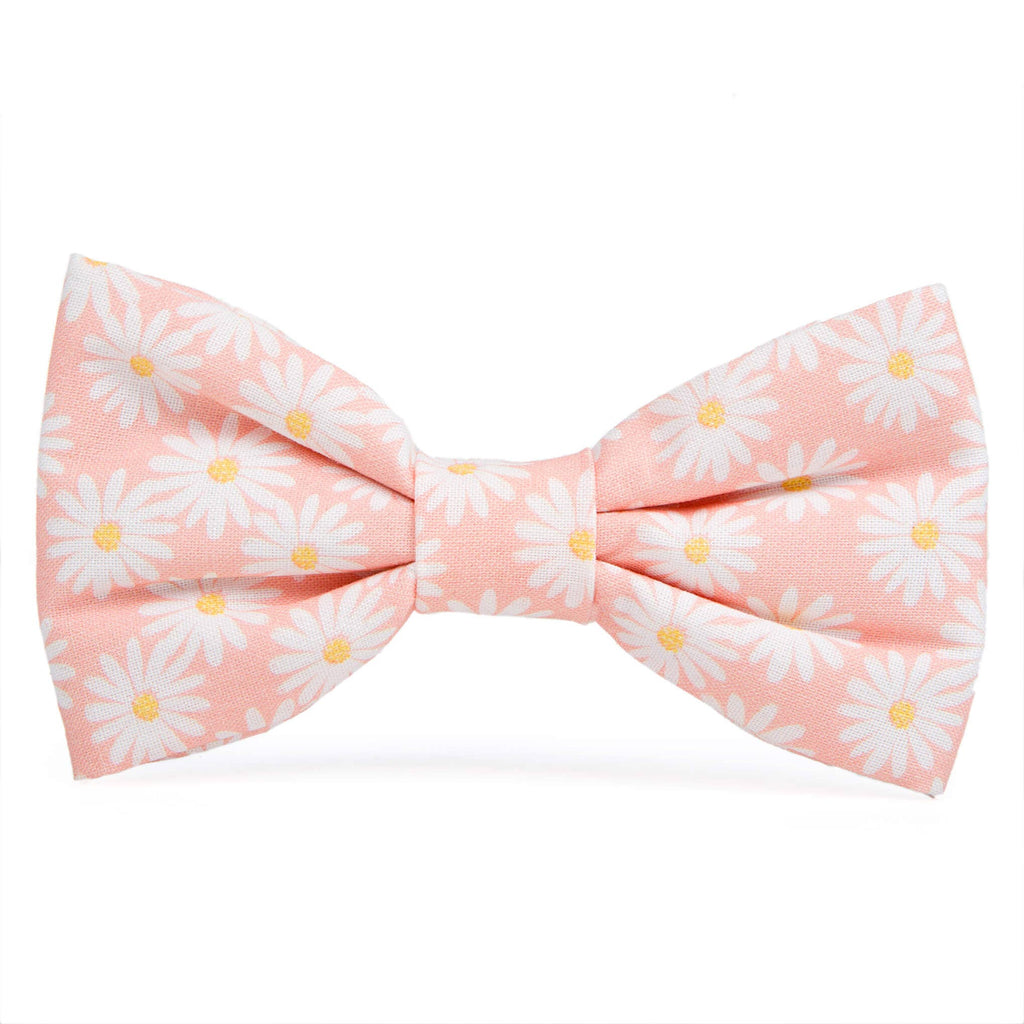 PINK DAISIES DOG BOW TIE