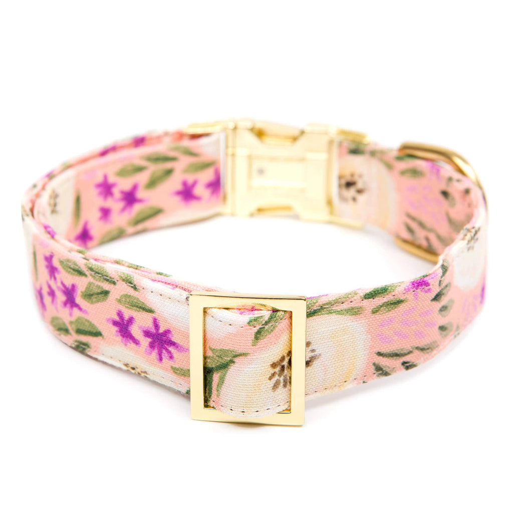 HARPER FLORAL DOG COLLAR