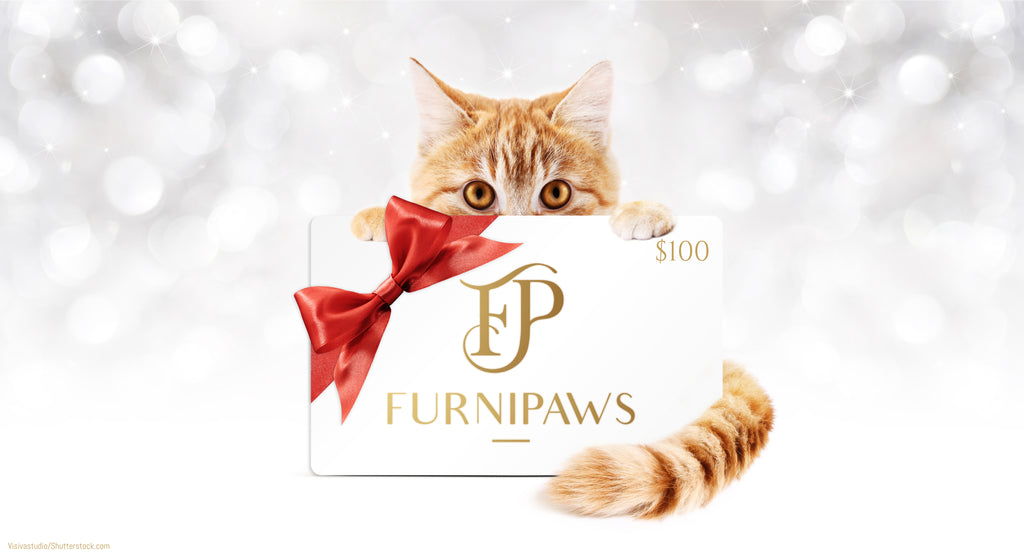 FURNIPAWS GIFT CARDS