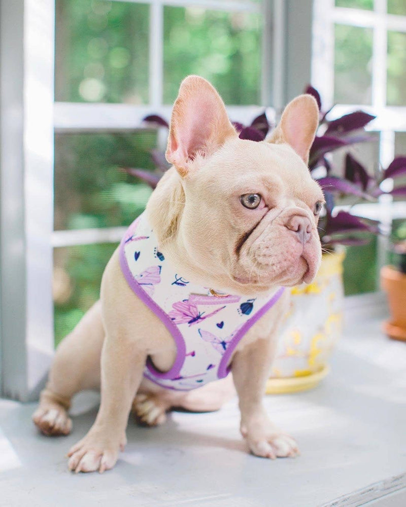 DOG PET REVERSIBLE HEALTH HARNESS - MAGICAL BUTTERFLY