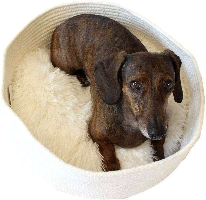 MIDLEE ROUND ROPE CAT OR SMALL DOG BED WITH PILLOW INSERT