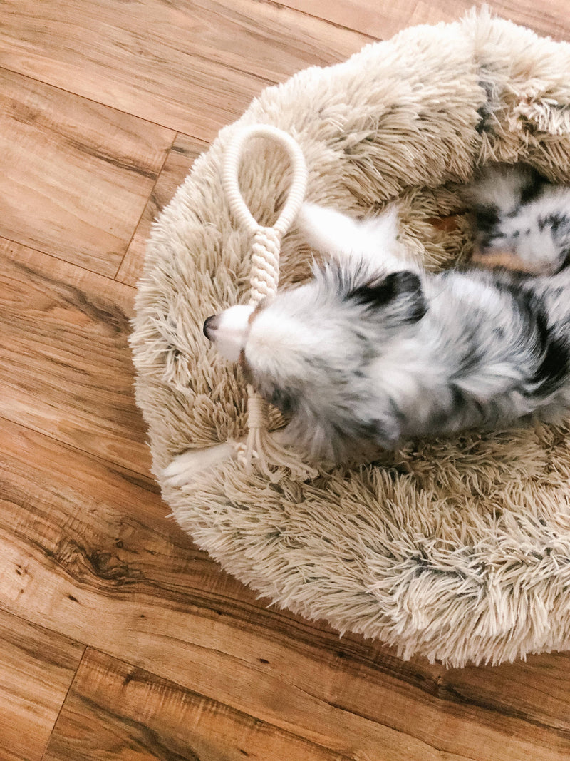 MACRAME ROPE DOG TUG TOY