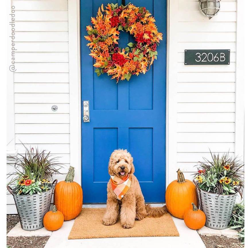 PUMPKIN SPICE FLANNEL DOG BANDANA